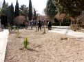 گزارش تصویری از آئیین درختکاری و تقدیر ازهمکاران فضای سبز دانشگاه